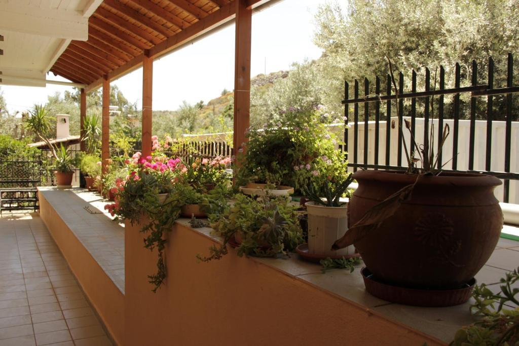 Agioi Pandes Hotel Galaxias חדר תמונה
