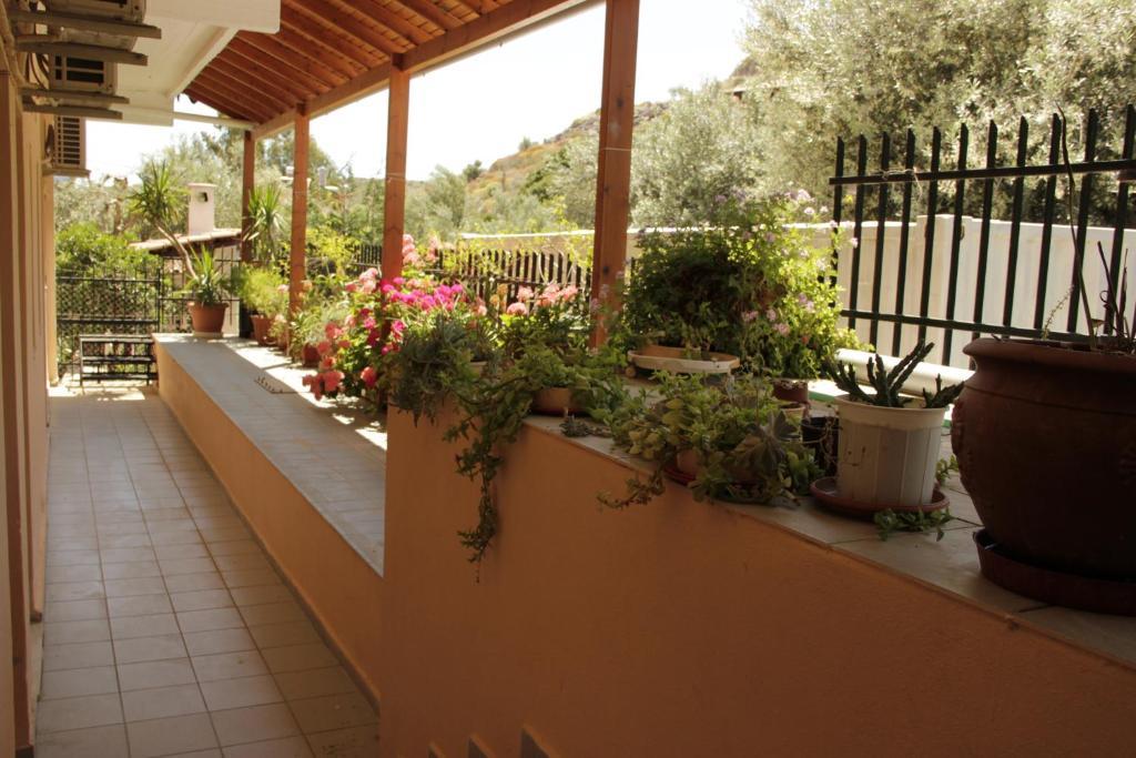 Agioi Pandes Hotel Galaxias חדר תמונה
